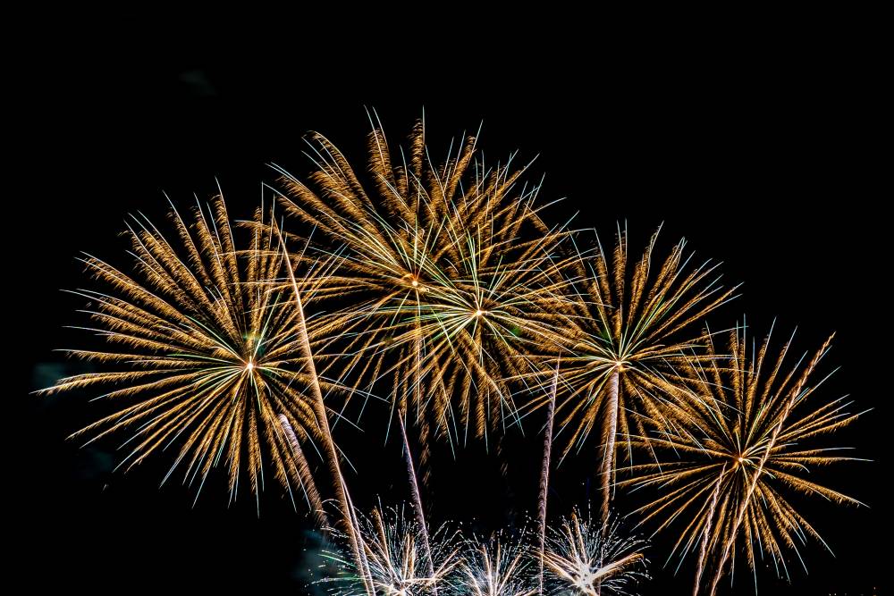 Como proteger os pets de fogos de artifício
